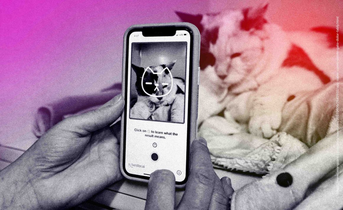 Aplicativo de Inteligência Artificial para controlar saúde dos gatos