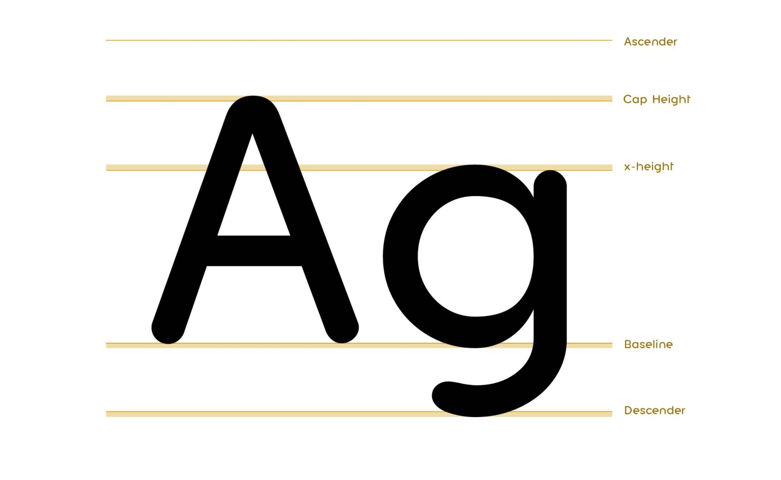 Tipografia