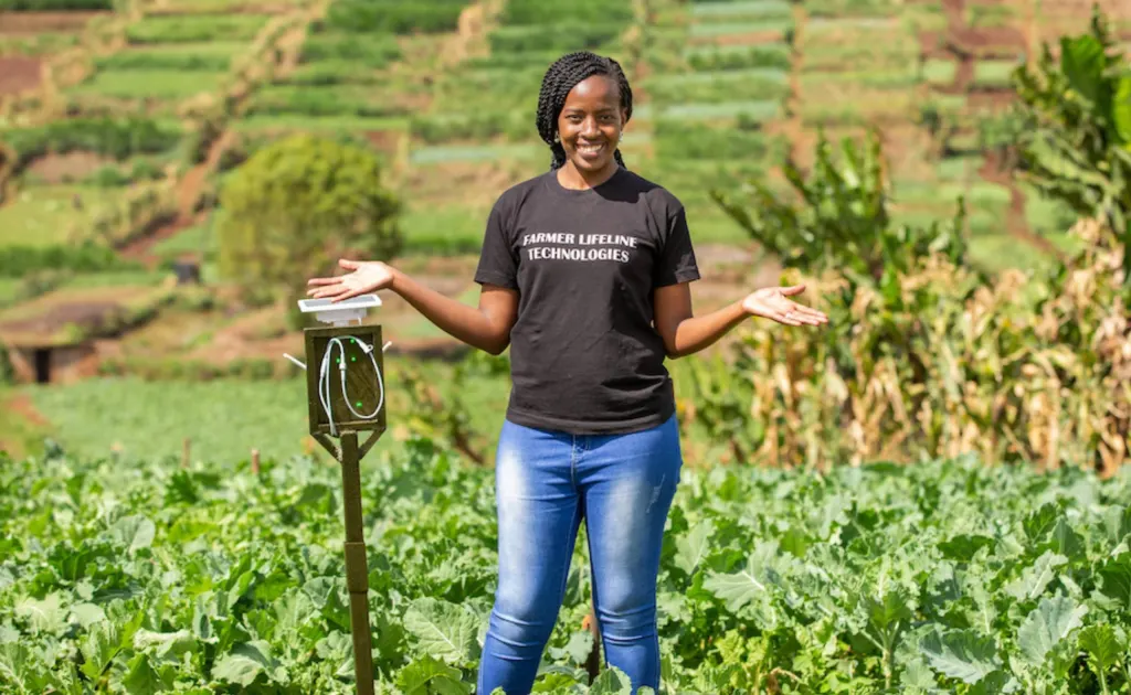 Queniana usa IA para ajudar agricultores a detectar pragas em cultivos